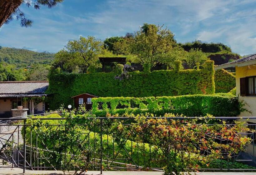 スタンダードルーム, Agriturismo Le Vigne