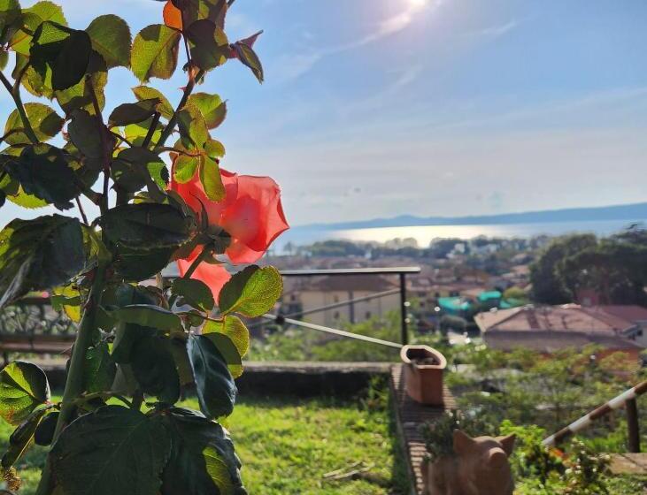 スタンダードルーム, Agriturismo Le Vigne