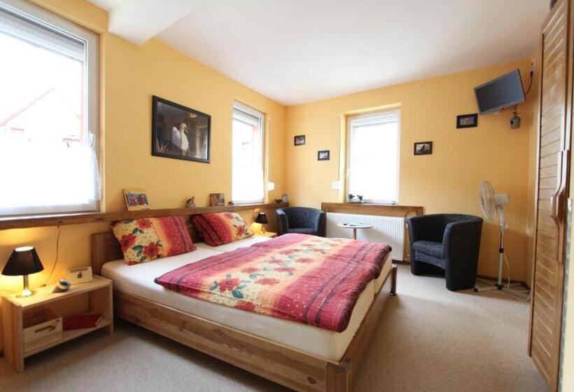 Номер Стандарт, B&b Briedel