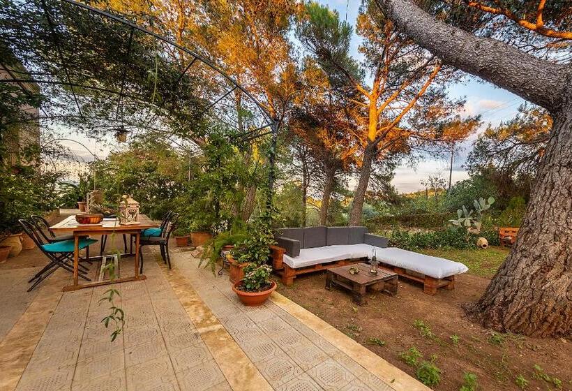 Трехместный Номер Классика, Villa Maria Affittacamere