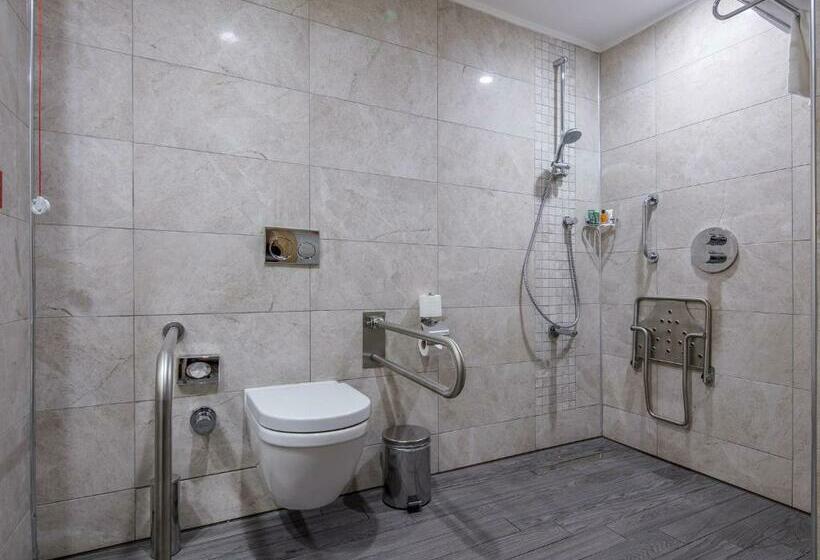 Номер Стандарт Кровать Кинг Адаптированный для Инвалидов, Hilton Garden Inn Safranbolu