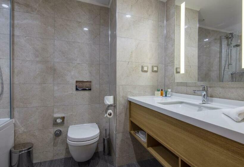 Стандартный Номер Кровать Кинг, Hilton Garden Inn Safranbolu