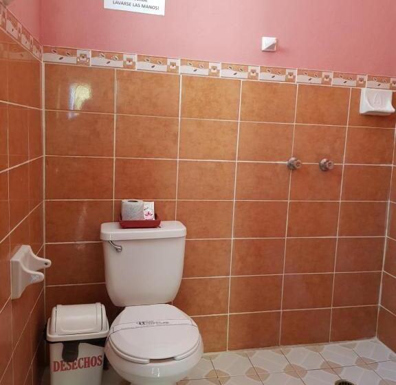 Номер Стандарт, Lirice Colonial