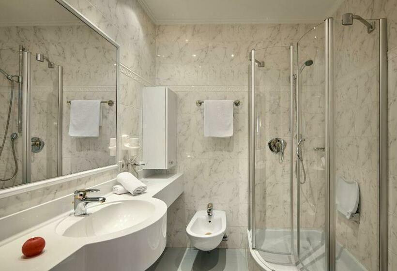 Номер Стандарт, Dolomites Wellness Hotel Savoy