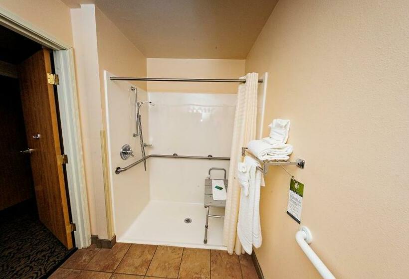 Номер Стандарт Кровать Кинг Адаптированный для Инвалидов, Fairbridge Inn Express Dillon