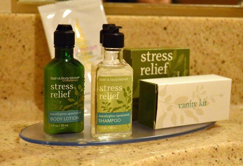 Люкс Deluxe Кровать Кинг, Fairbridge Inn Express Dillon