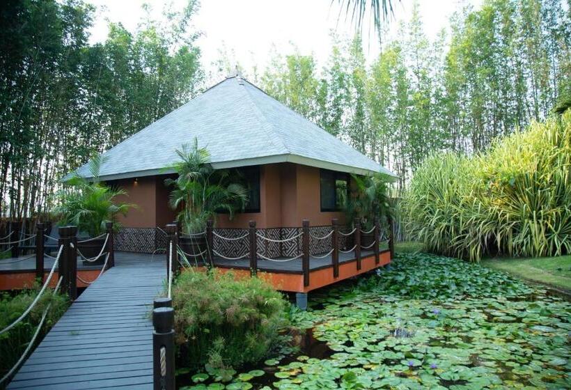 Standard Bungalow, Soul Spring Sanctuary