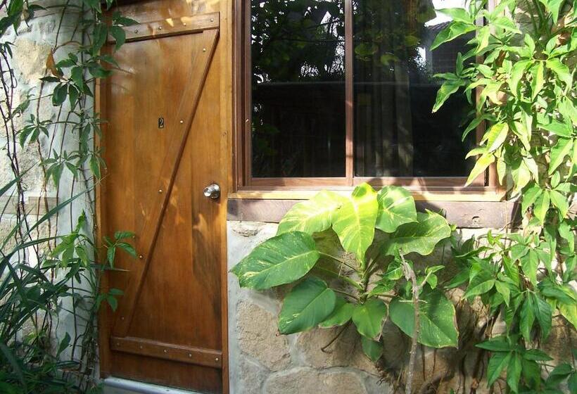 Номер Стандарт, Hostal Oloncito