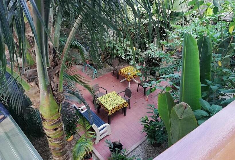 Номер Стандарт, Hostal Oloncito