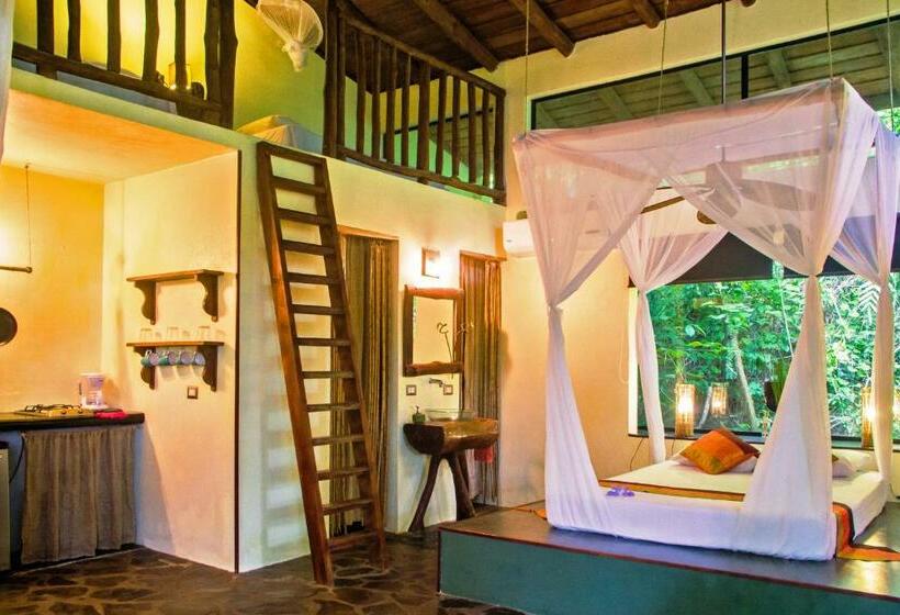 스위트, Canaima Chill House