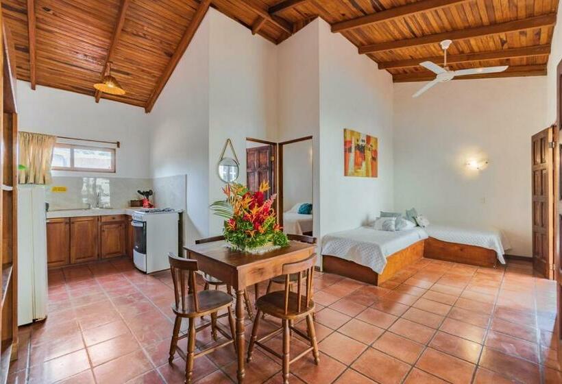 شقة غرفة واحدة, Ola Bonita Beachfront Apart