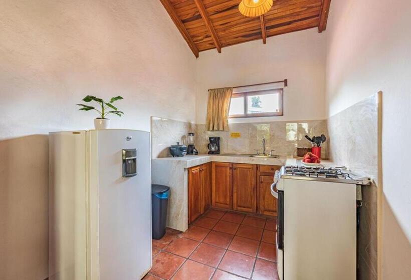 شقة غرفة واحدة, Ola Bonita Beachfront Apart