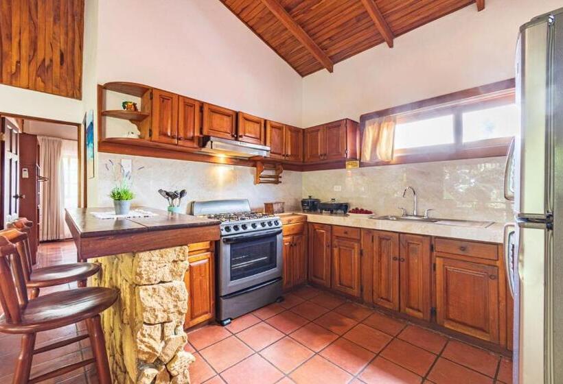 شقة غرفة واحدة, Ola Bonita Beachfront Apart