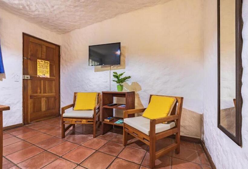 إستوديو قياسى, Ola Bonita Beachfront Apart