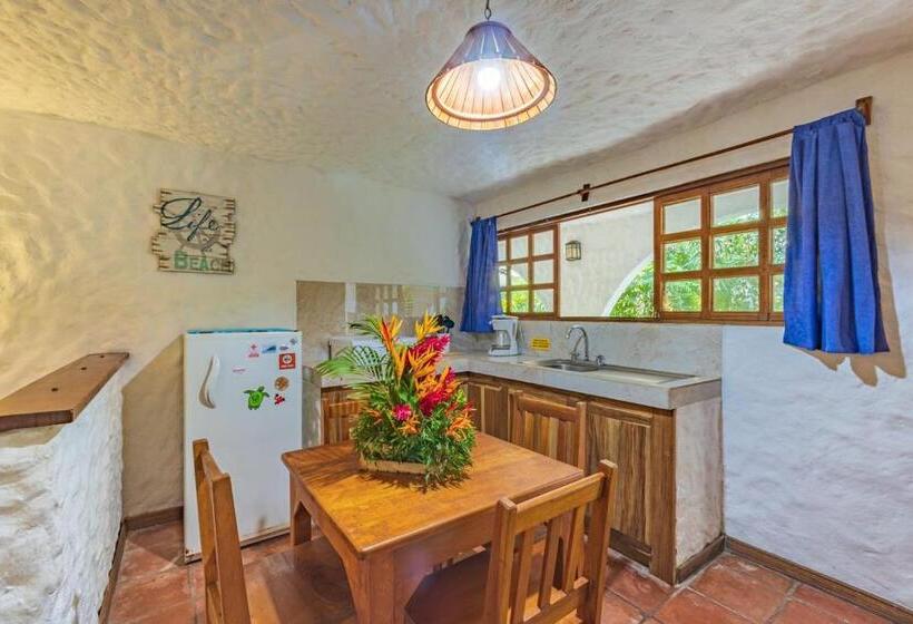 إستوديو قياسى, Ola Bonita Beachfront Apart