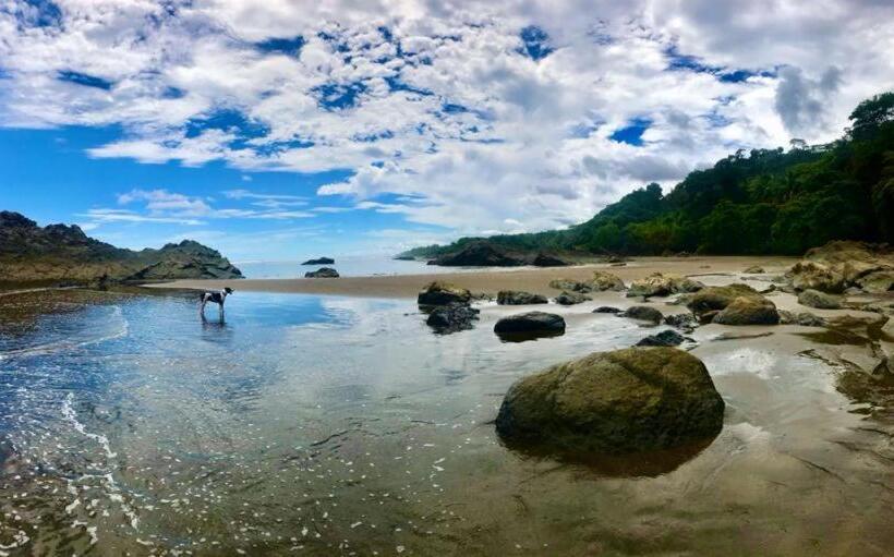 Апартаменты 1 Спальня, Tropical Sands Dominical