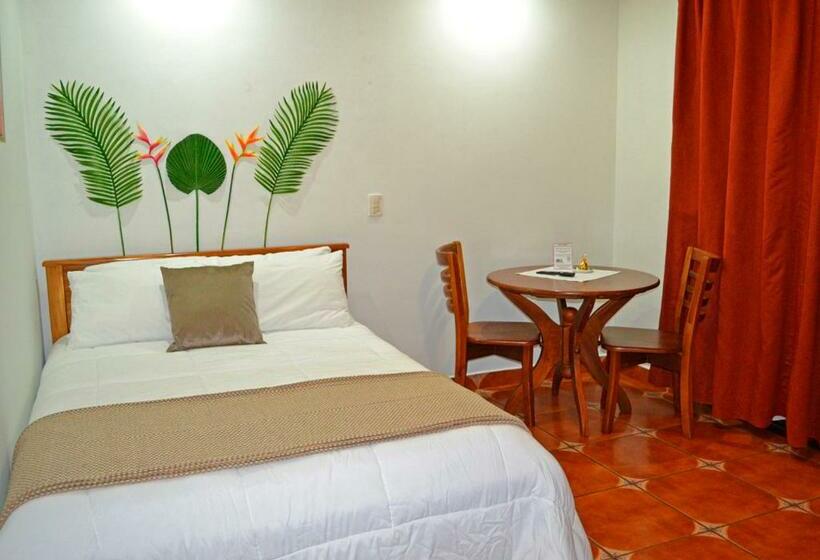 Habitación Individual Vista Jardín, Casa Tropical