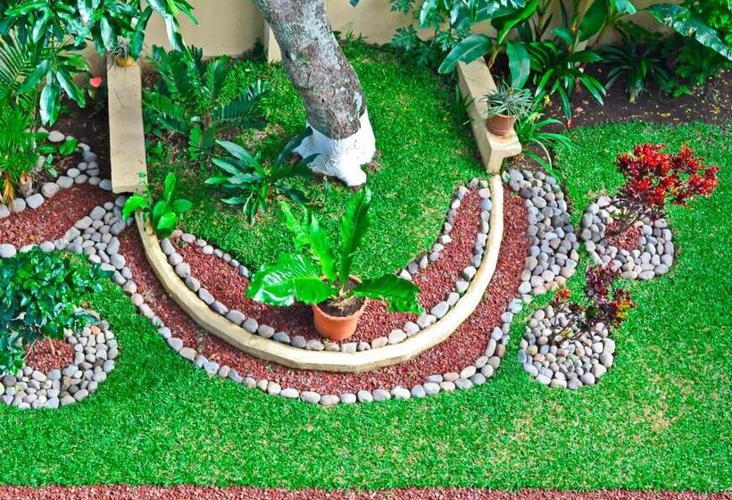 带花园景观的标准工作室, Casa Tropical