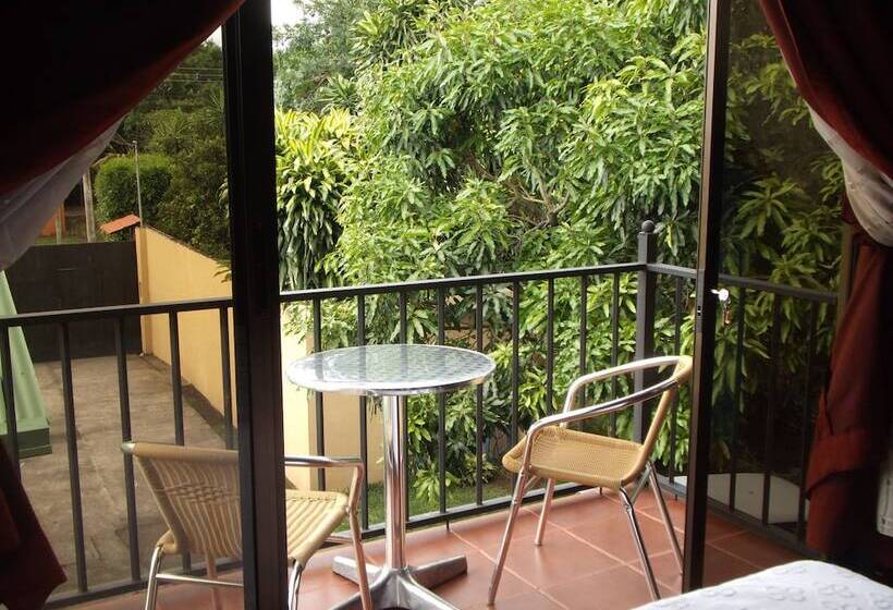 带园景的单人房, Casa Tropical