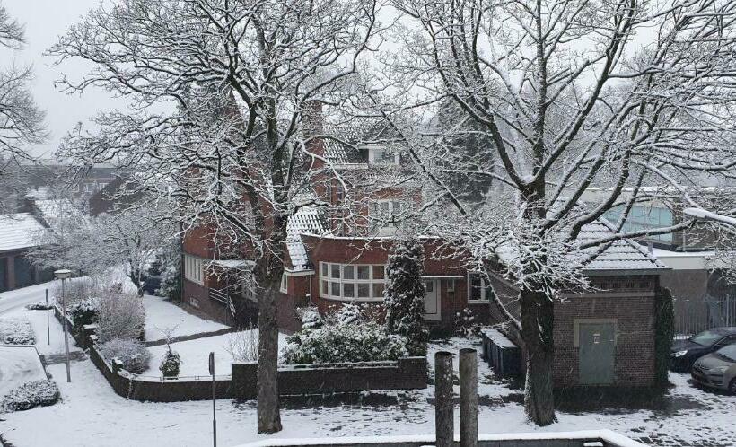 חדר סטנדרט יחיד, De Zevende Hemel