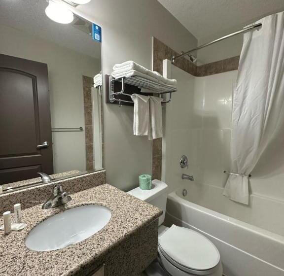 Номер Стандарт, Travelodge By Wyndham Wetaskiwin