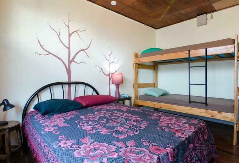 스탠다드 룸, In The Wind Hostel And Guesthouse