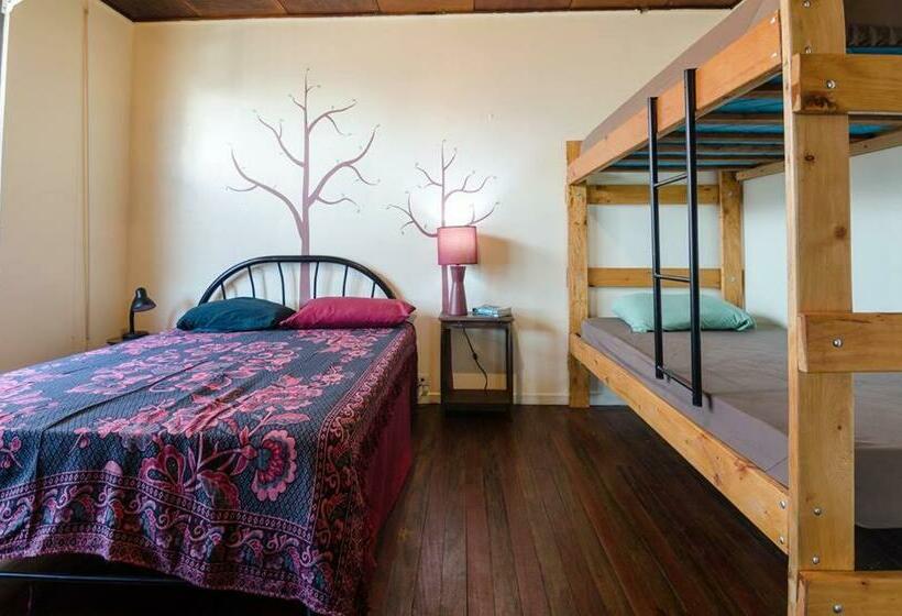 패밀리 룸, In The Wind Hostel And Guesthouse