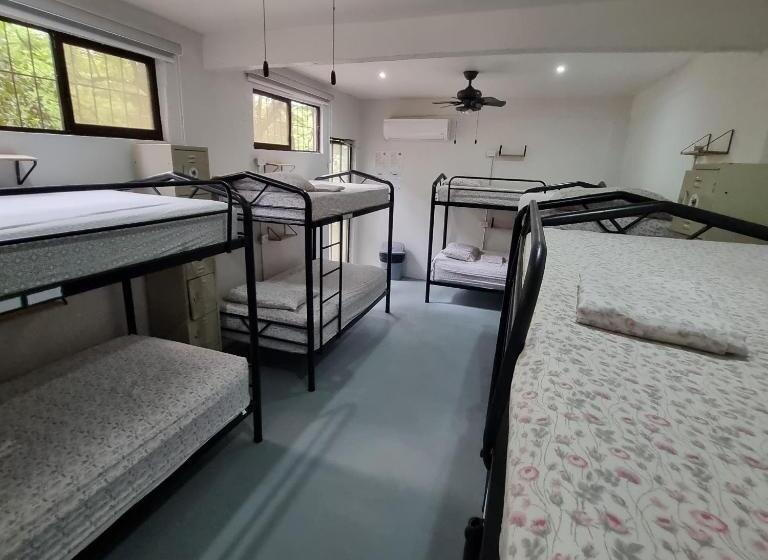 تختخواب در اتاق مشترک, Casa Pura Vida Surf Hostel   Tamarindo Costa Rica