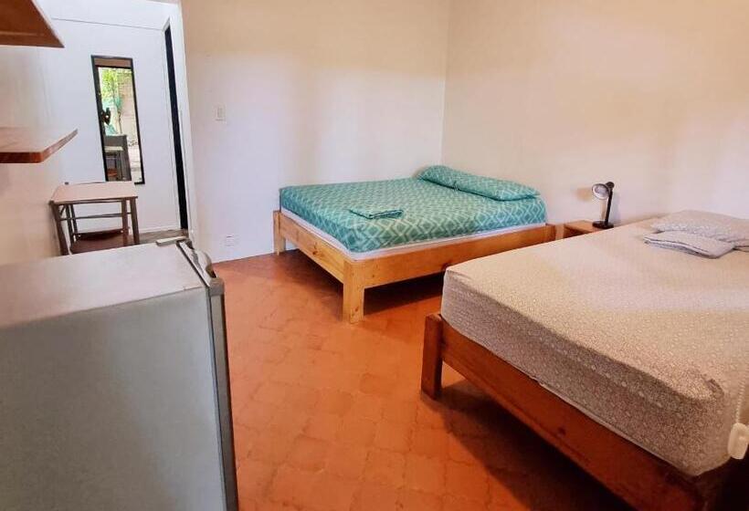 اتاق استاندارد, Casa Pura Vida Surf Hostel   Tamarindo Costa Rica