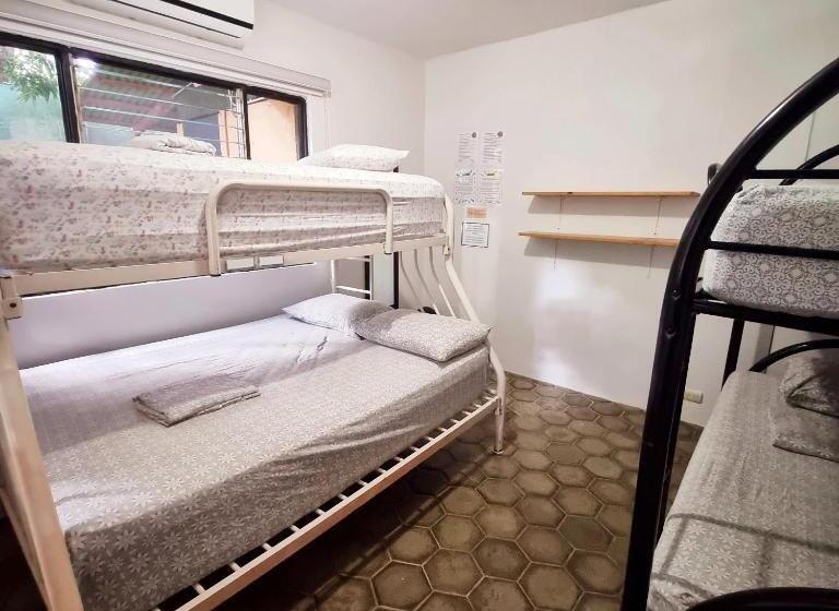 اتاق استاندارد چهار تخته, Casa Pura Vida Surf Hostel   Tamarindo Costa Rica