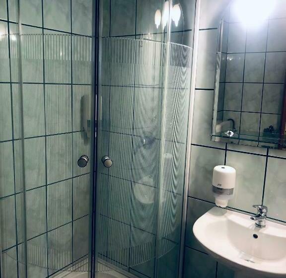 Номер Стандарт, Poenita
