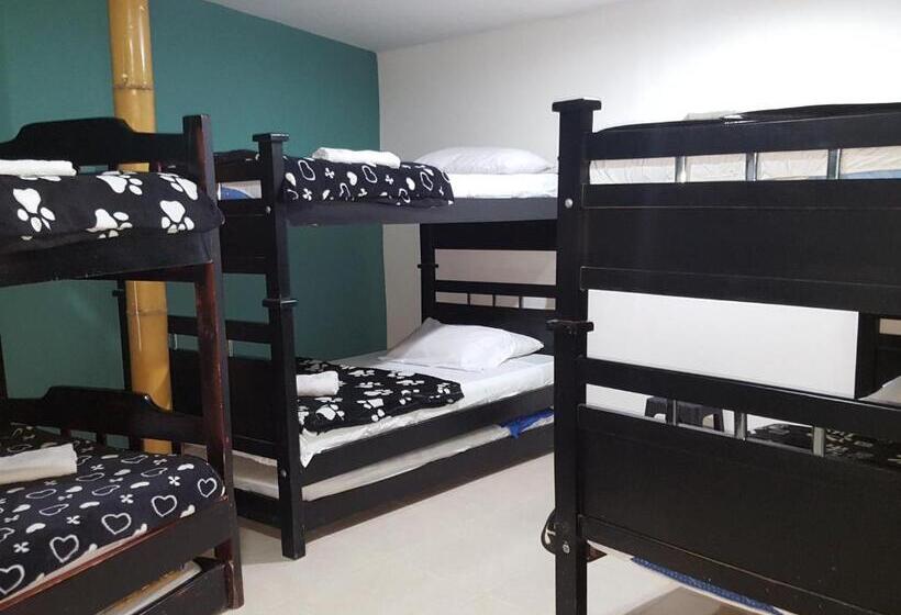 Habitación Familiar, Hostal Y Camping Los Girasoles
