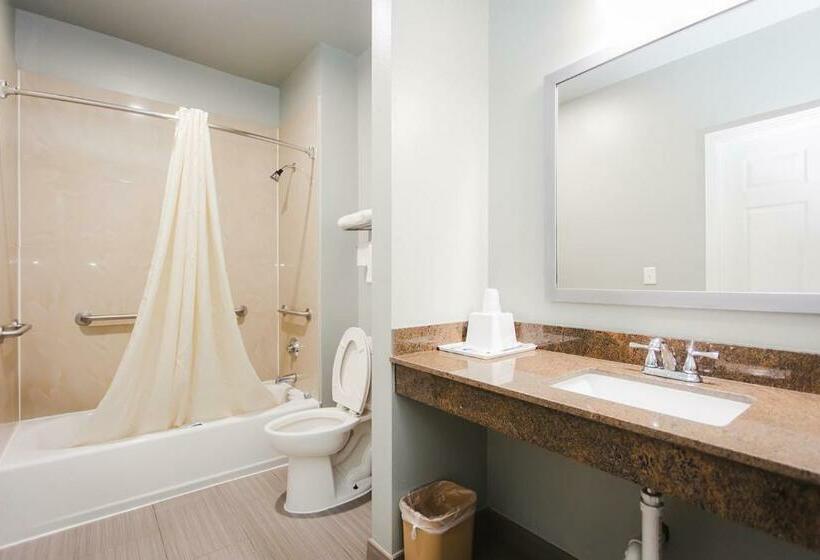 חדר סטנדרט עם מיטת קינג, Econo Lodge Inn & Suites