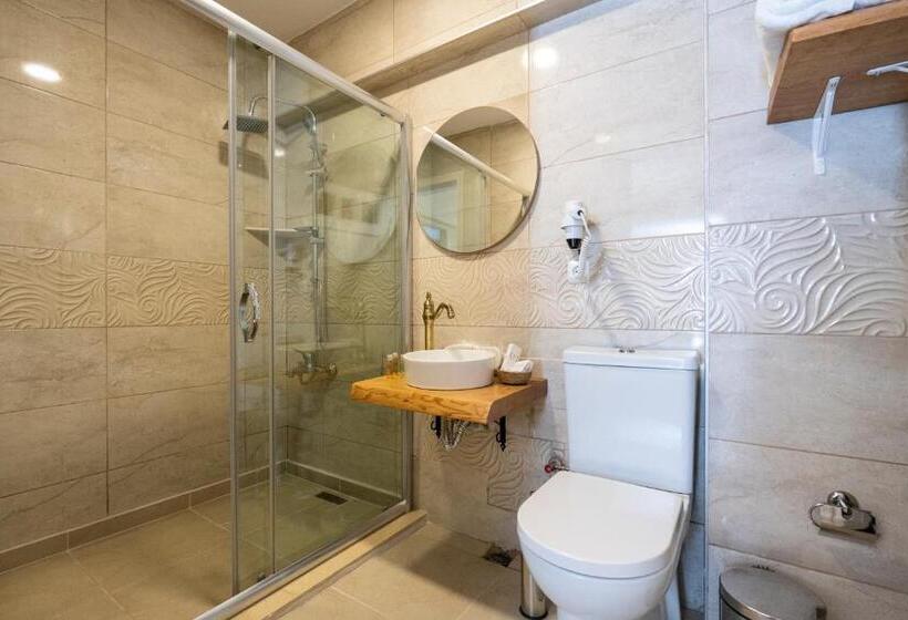 豪华房间, Aya Butik Otel