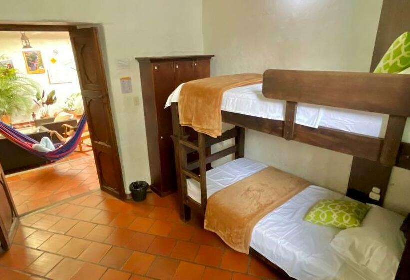 공동 객실, Real Dream Hostel
