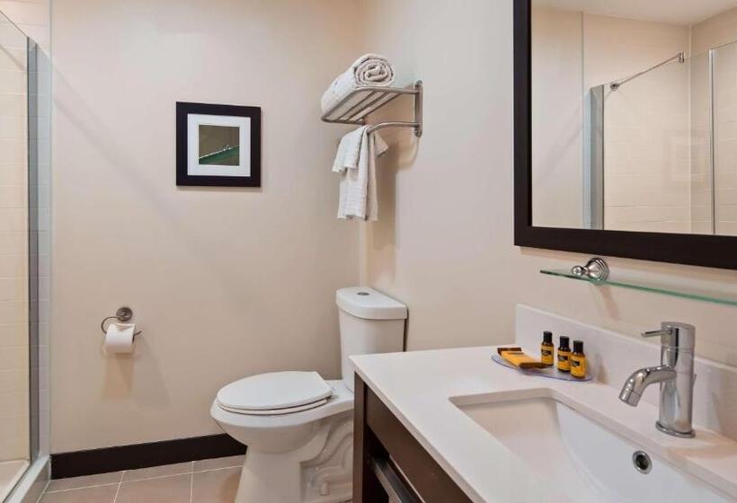 غرفة ديلوكس, Best Western Plus Philadelphia Convention Center
