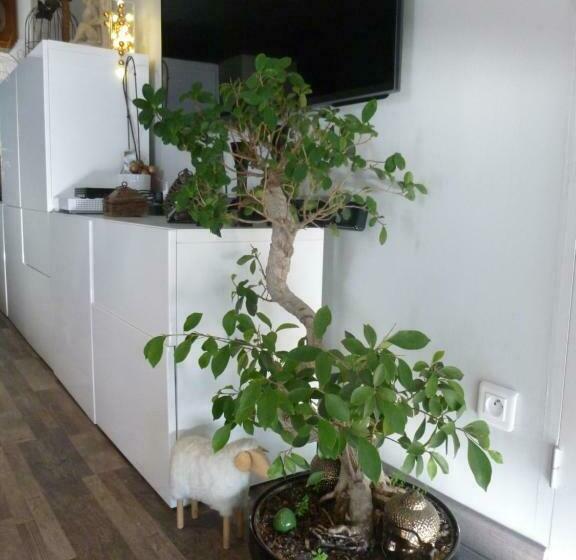 اتاق استاندارد با تخت بزرگ, 1 Chambre, 1 P'tit Dèj', 1 Sourire