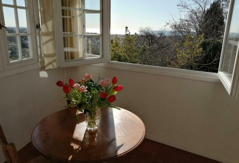 اتاق سوپریور با چشم‌انداز دریا, Chambres D'hôtes Les Terrasses Du Soleil