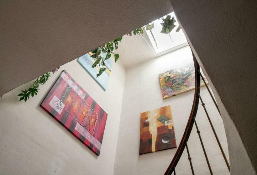 标准单人间, Hôtel Les Orangers