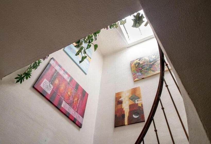 高级园景房, Hôtel Les Orangers
