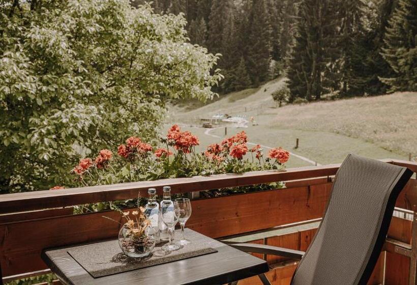 Номер Стандарт с Террасой, Alpe Dornach