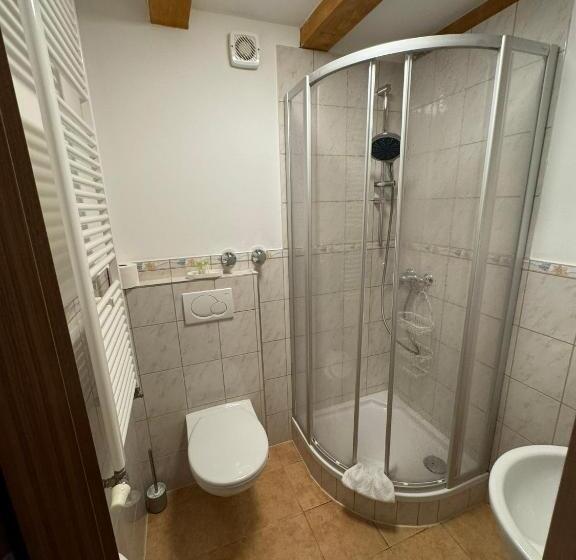 Номер Deluxe Одноместный, Kleine Villa Rose