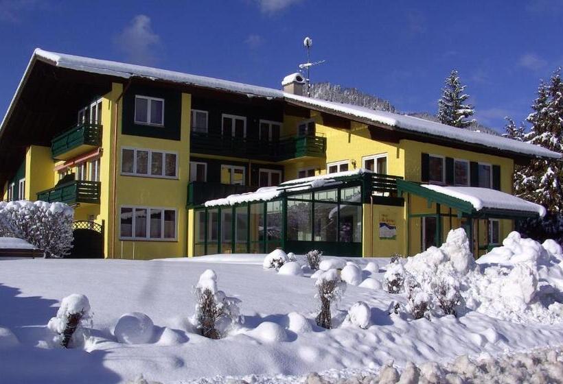 Номер Стандарт Вид на Горы, Restaurant Bellevue