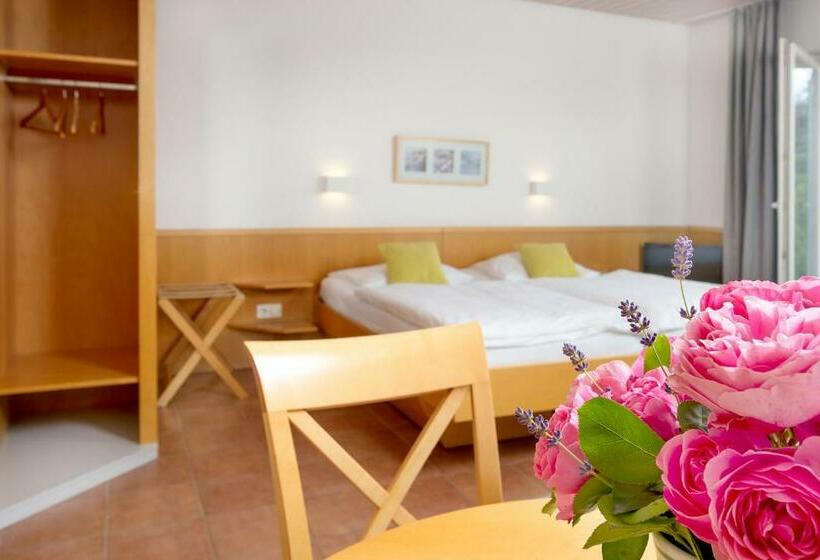 Номер Стандарт с Террасой, H.w.s. Hotel Der Wilde Schwan