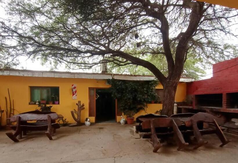 Дом 2 Спальни, Hostal Benjamin