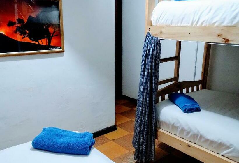 Кровать в Общей Комнате, Erupcion Art Hotel & Hostel