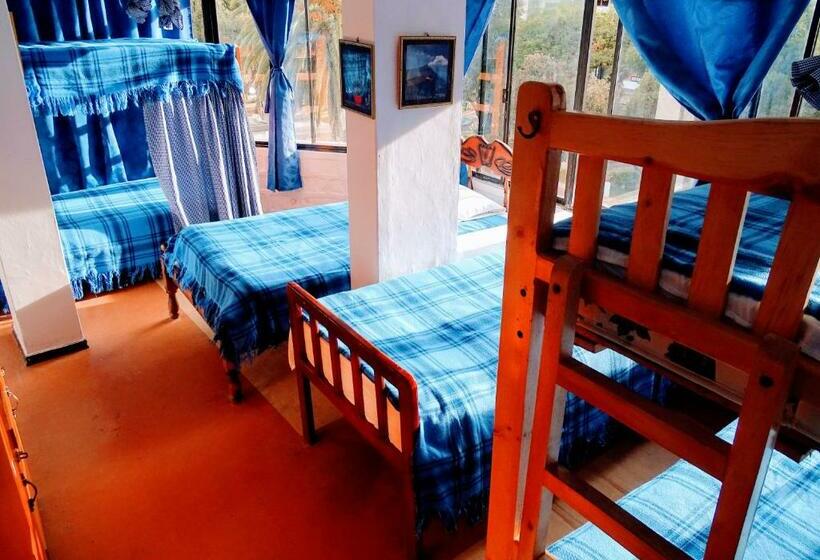 Кровать в Общей Комнате, Erupcion Art Hotel & Hostel