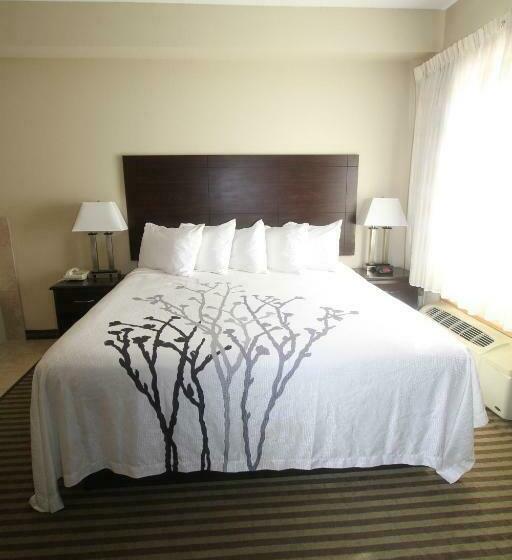 장애인을 위한 킹사이즈 침대 스탠다드 룸, Bowman Inn And Suites