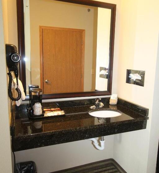 장애인을 위한 스탠다드 룸, Bowman Inn And Suites