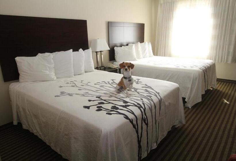 스탠다드 룸, Bowman Inn And Suites